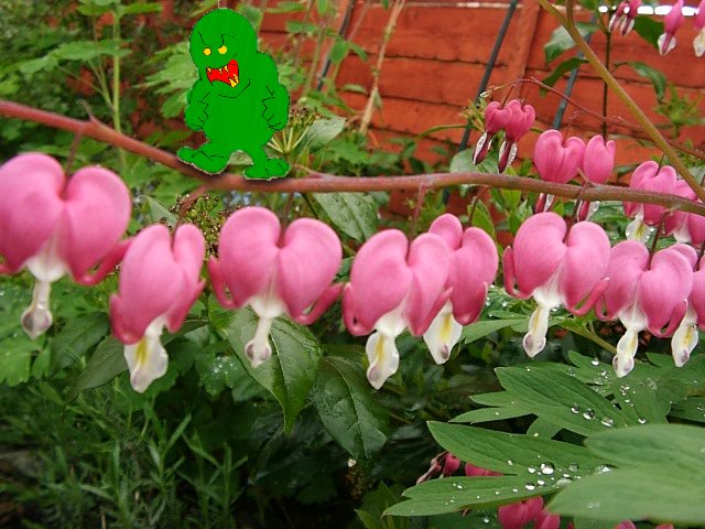 A green alien standing on the branch of a plant!